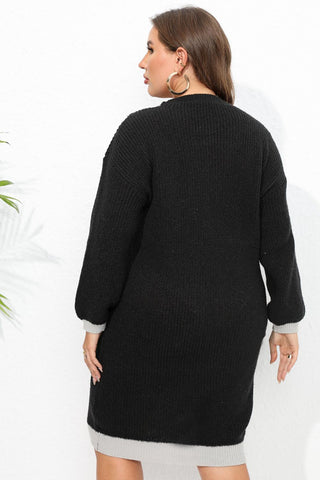 Shop Plus Size Long Sleeve Sweater Dress - High-Quality U.S. Made Women’s Fashion with Free Fast Shipping