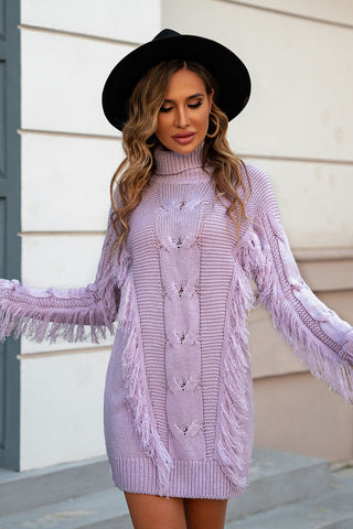 Shop Turtleneck Fringe Detail Sweater Dress - High-Quality U.S. Made Women’s Fashion with Free Fast Shipping