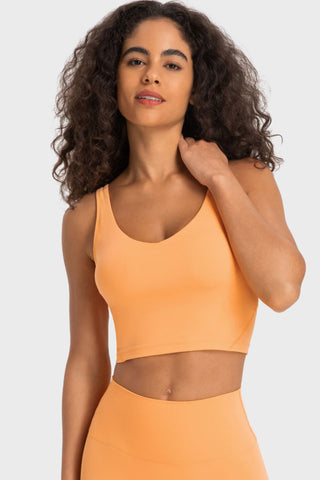 Shop Sherbet Millennia Deep V-Neck Crop Sports Bra - High-Quality U.S. Made Women’s Fashion with Free & Fast Shipping